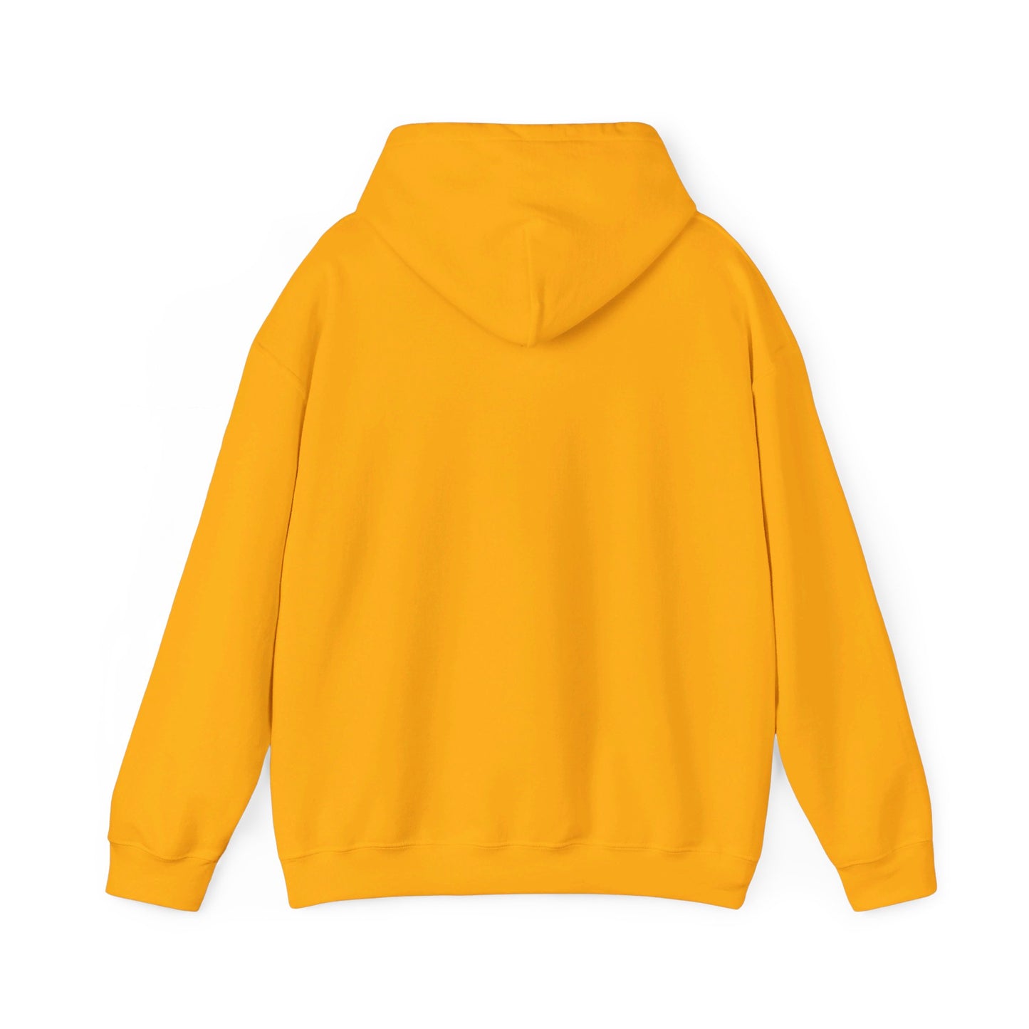 STEADFAST, SATISFIED AND SINGLE | Hoodie