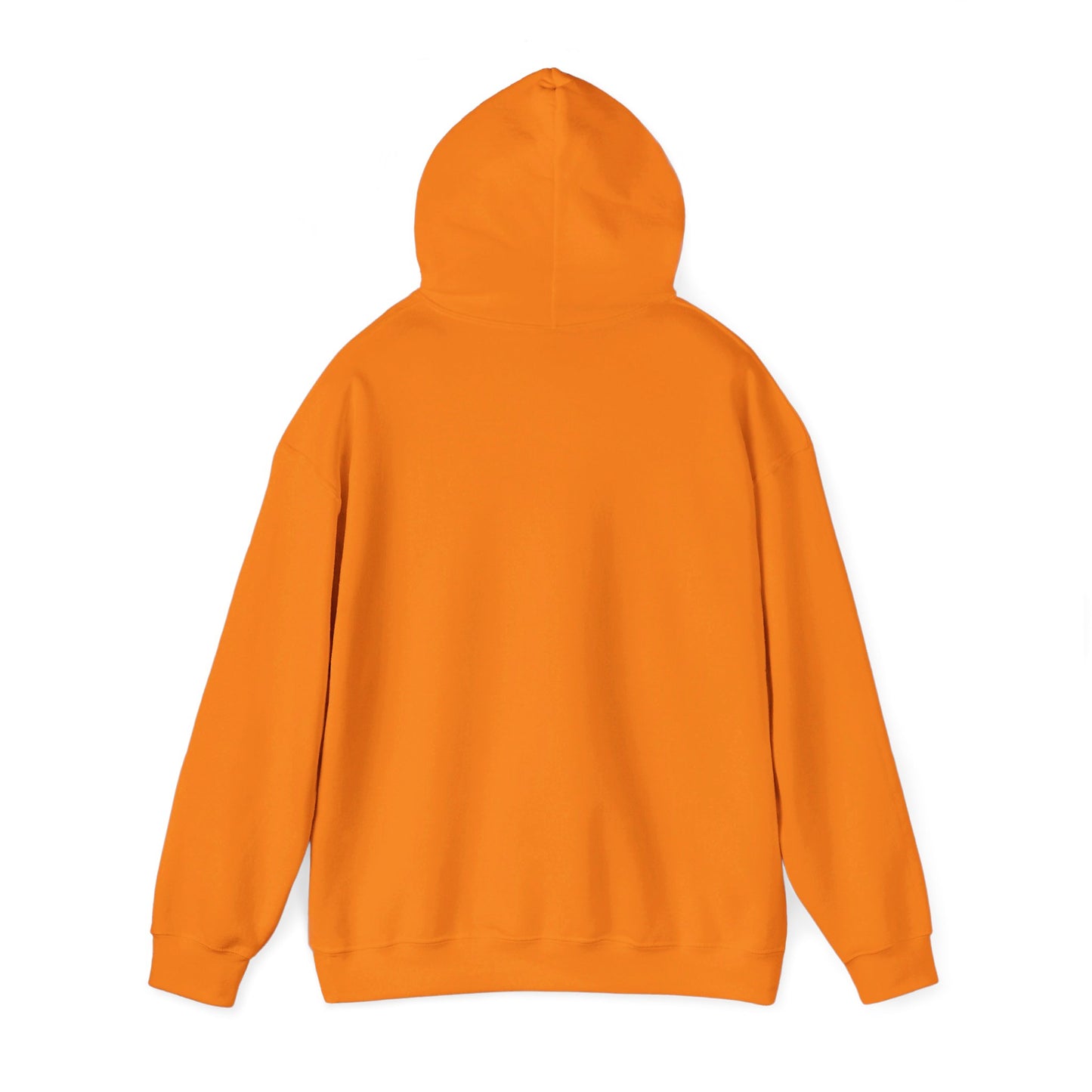 STEADFAST, SATISFIED AND SINGLE | Hoodie