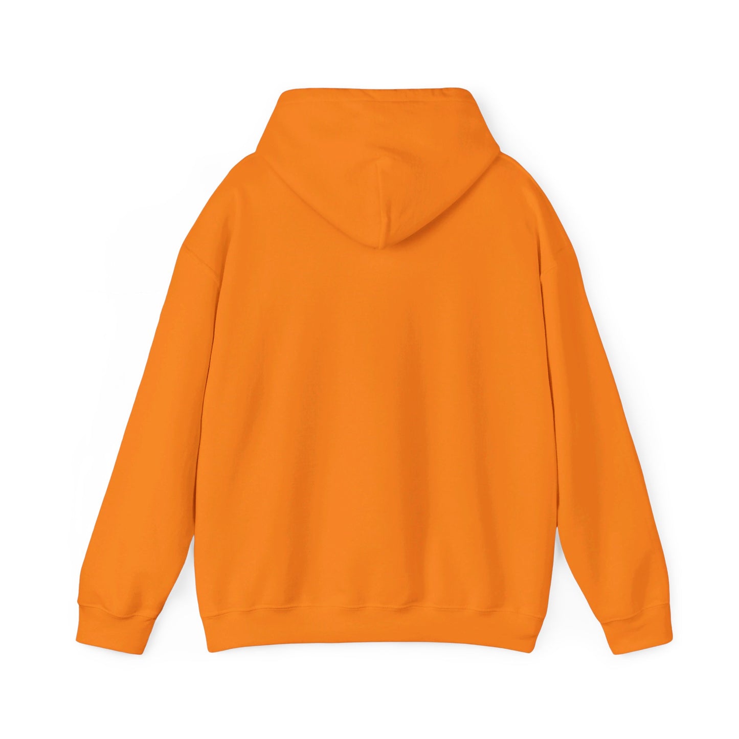 STEADFAST, SATISFIED AND SINGLE | Hoodie